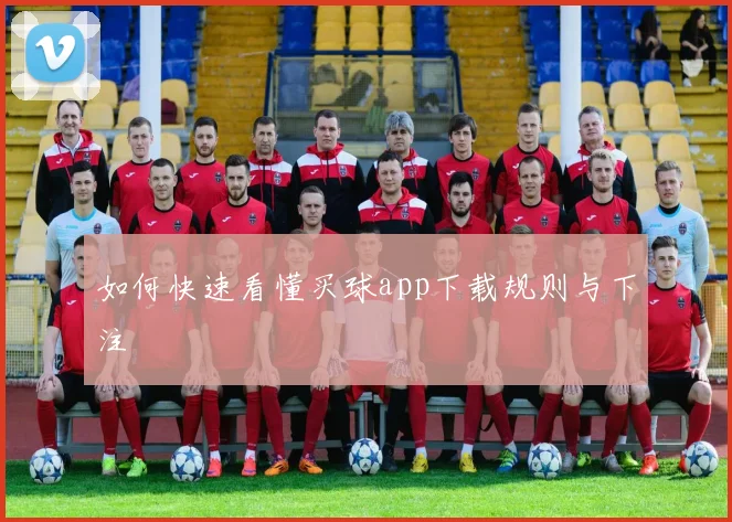如何快速看懂买球app下载规则与下注